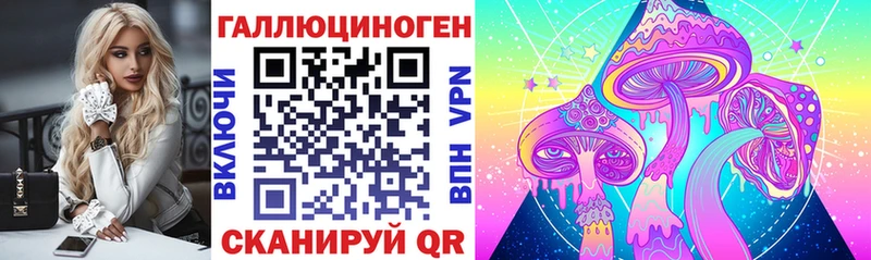 Псилоцибиновые грибы мицелий  где найти наркотики  kraken   Светогорск 